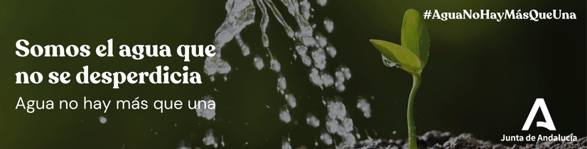 202512-bannerseccion-regadios-juntadeandalucia