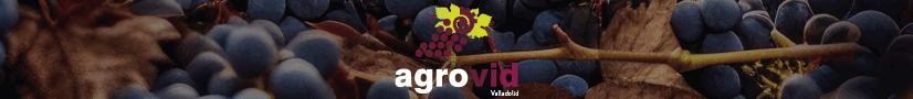 https://feriavalladolid.com/agrovid/