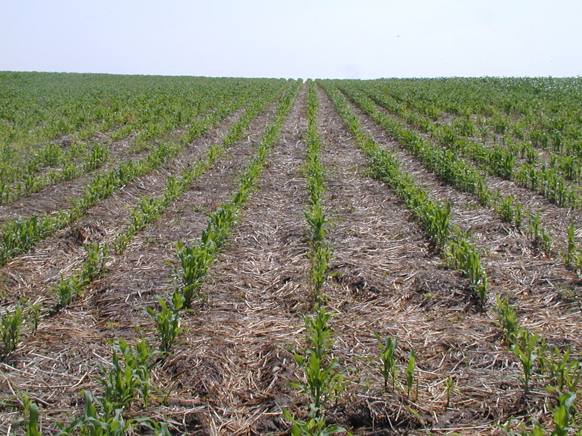 imagen principal noticia