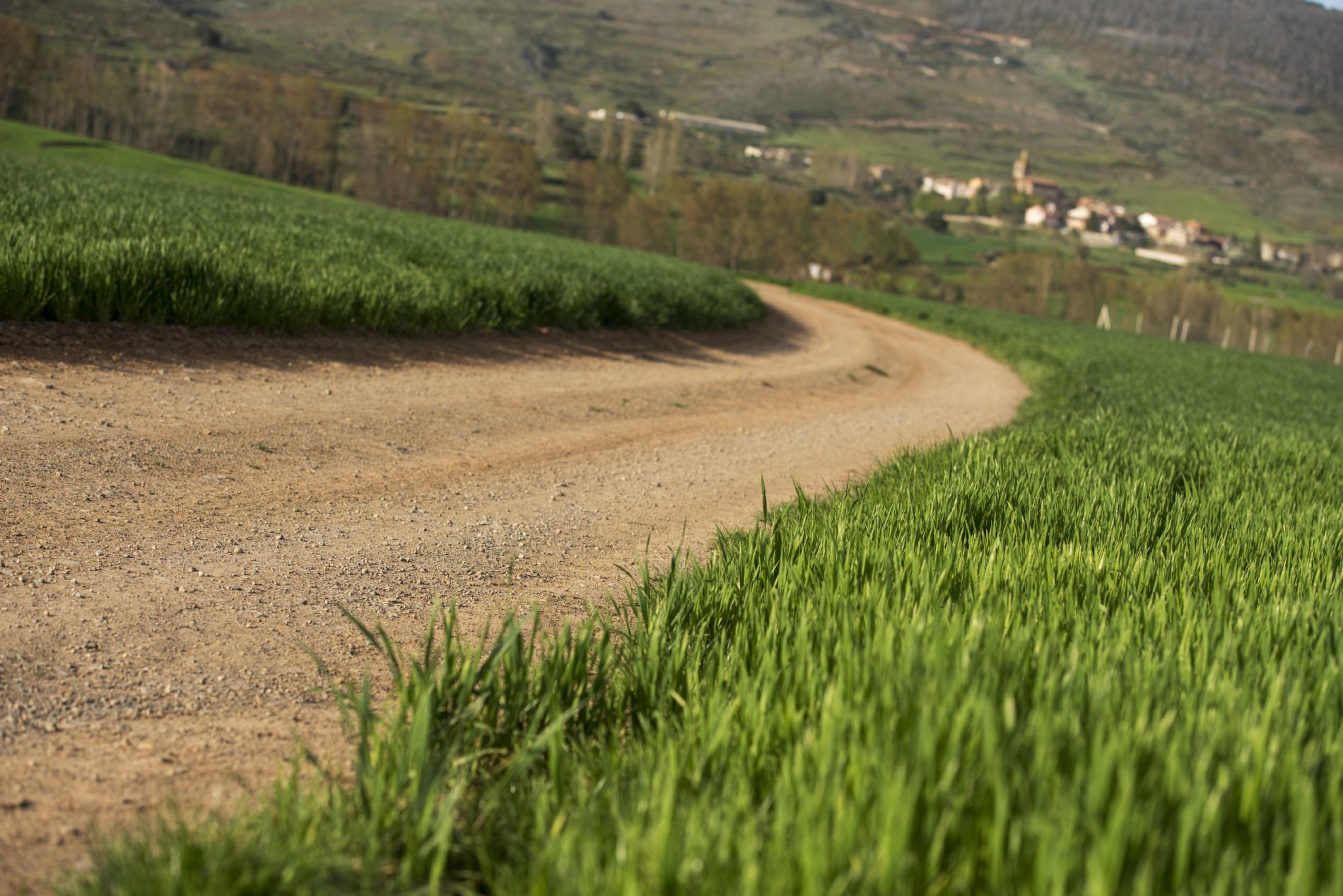 imagen principal noticia