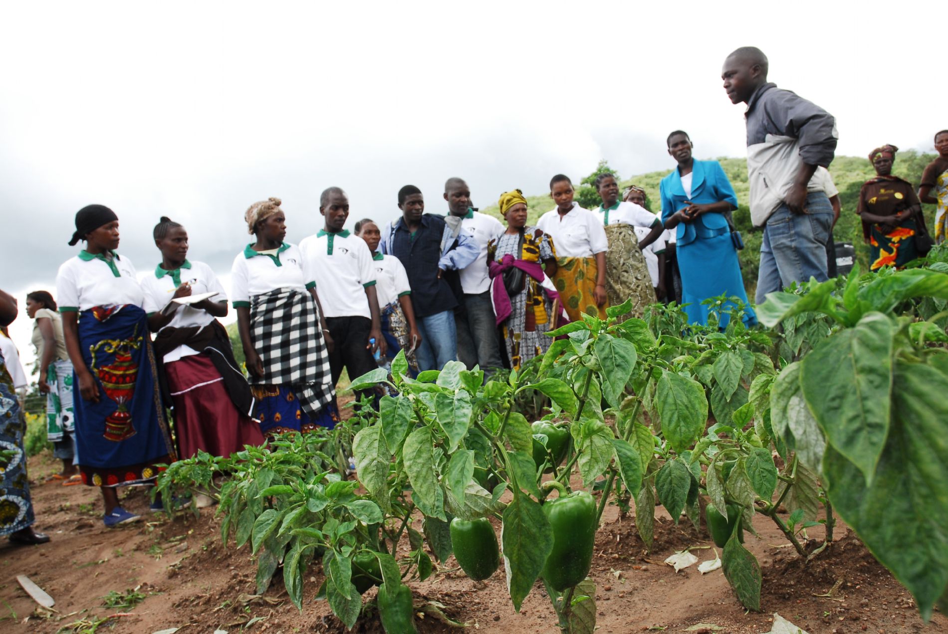 imagen principal noticia