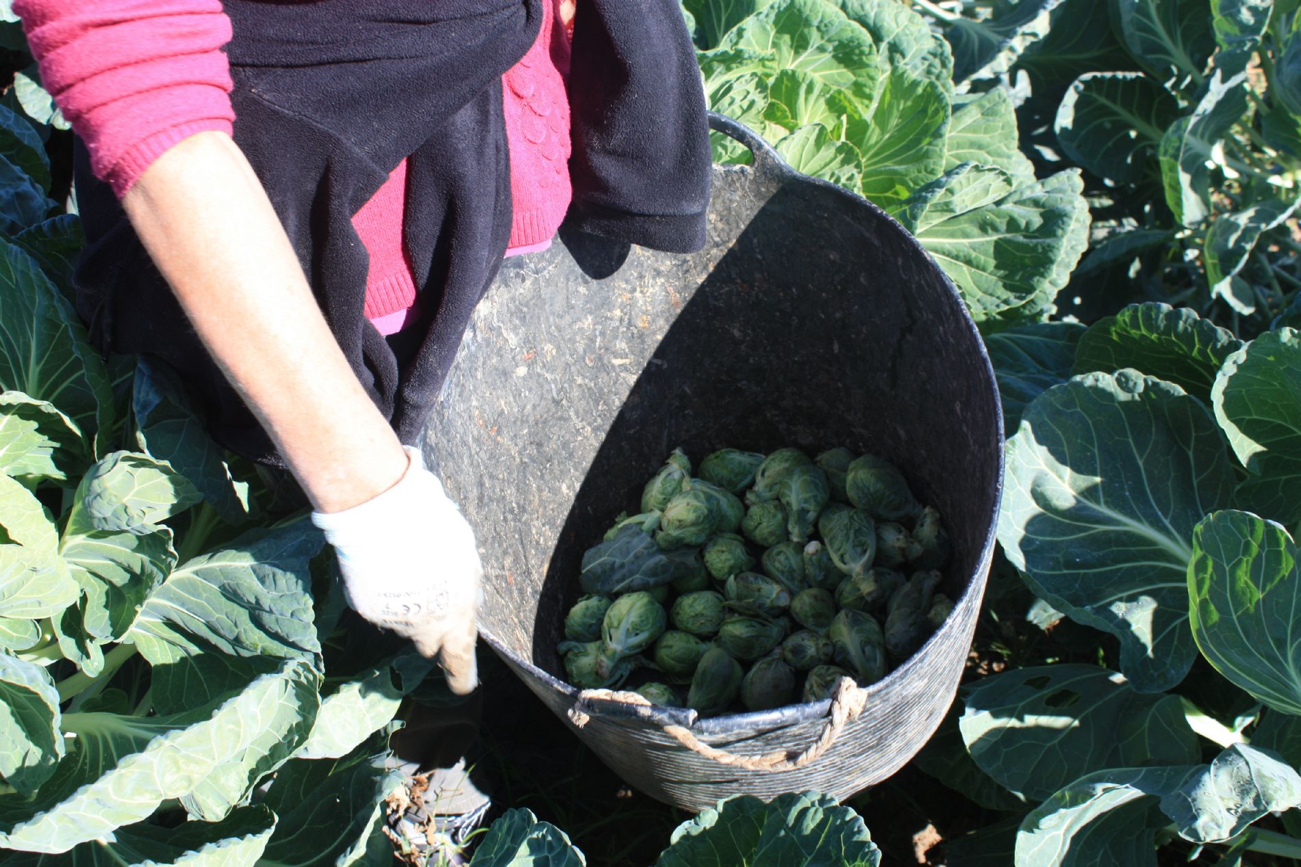 imagen principal noticia