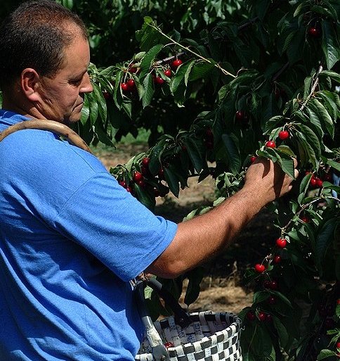 imagen principal noticia