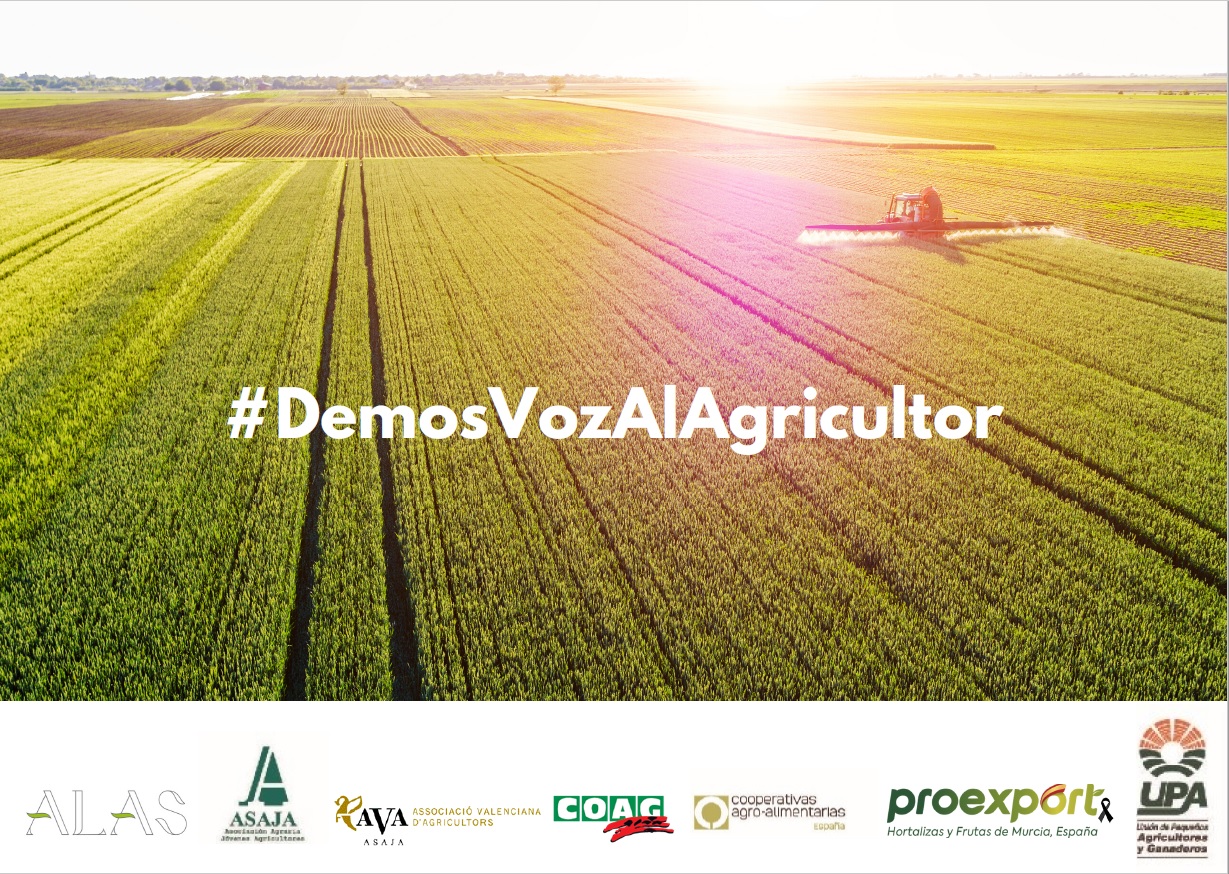 imagen principal noticia