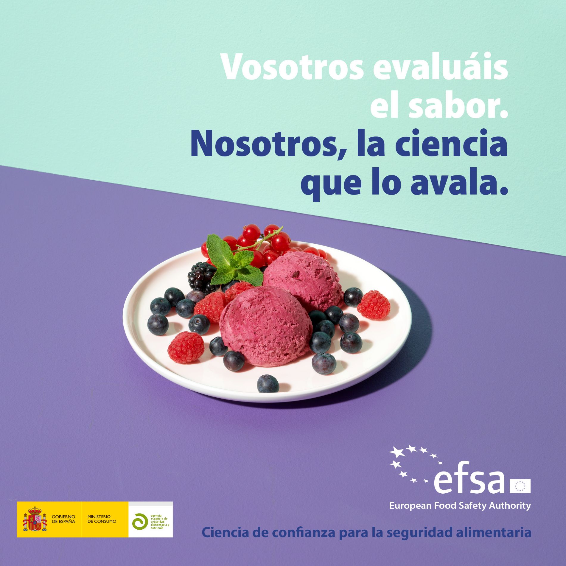 imagen principal noticia