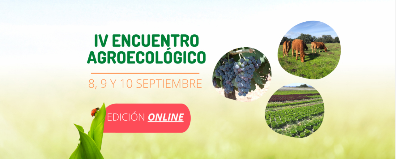 imagen principal noticia