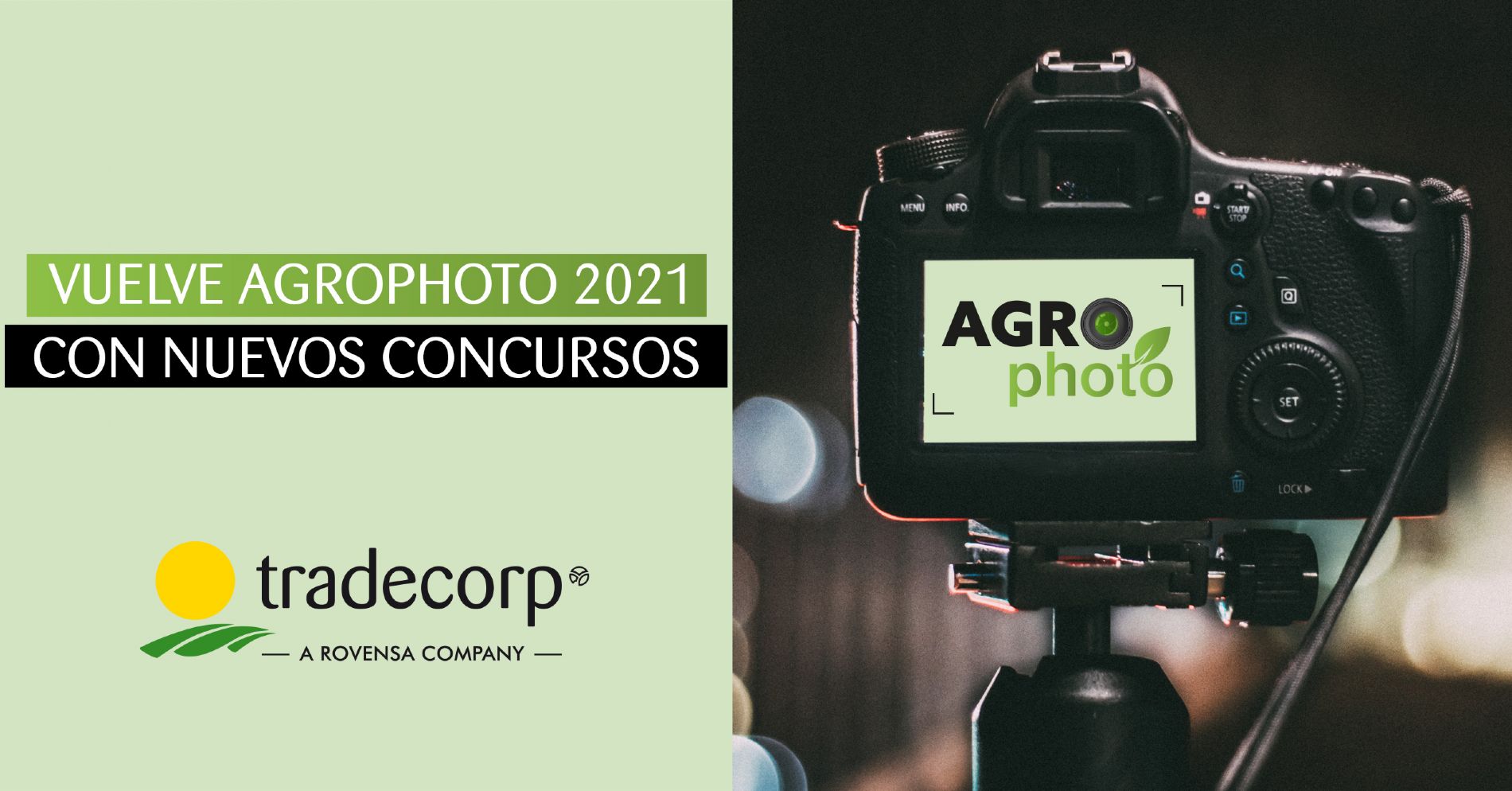 imagen principal noticia