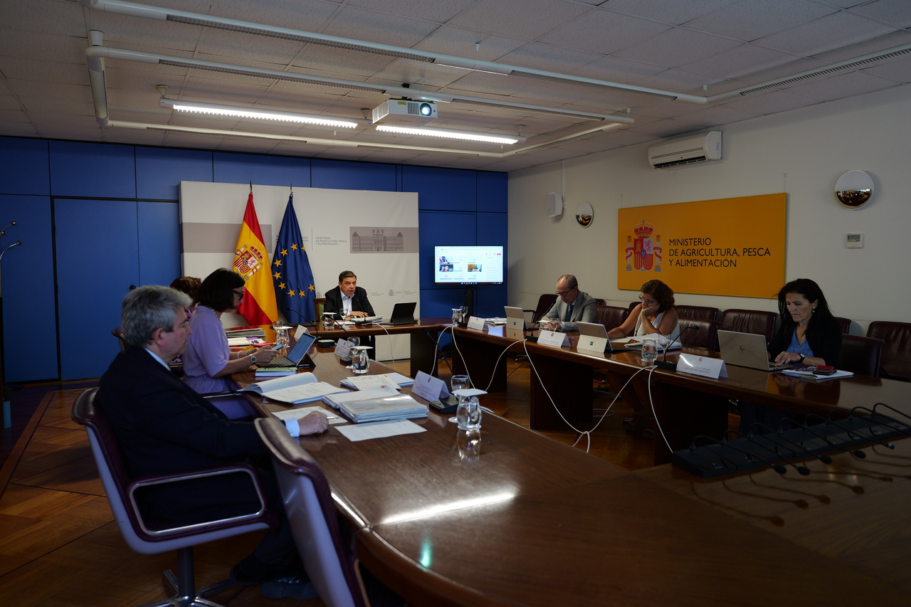 imagen principal noticia