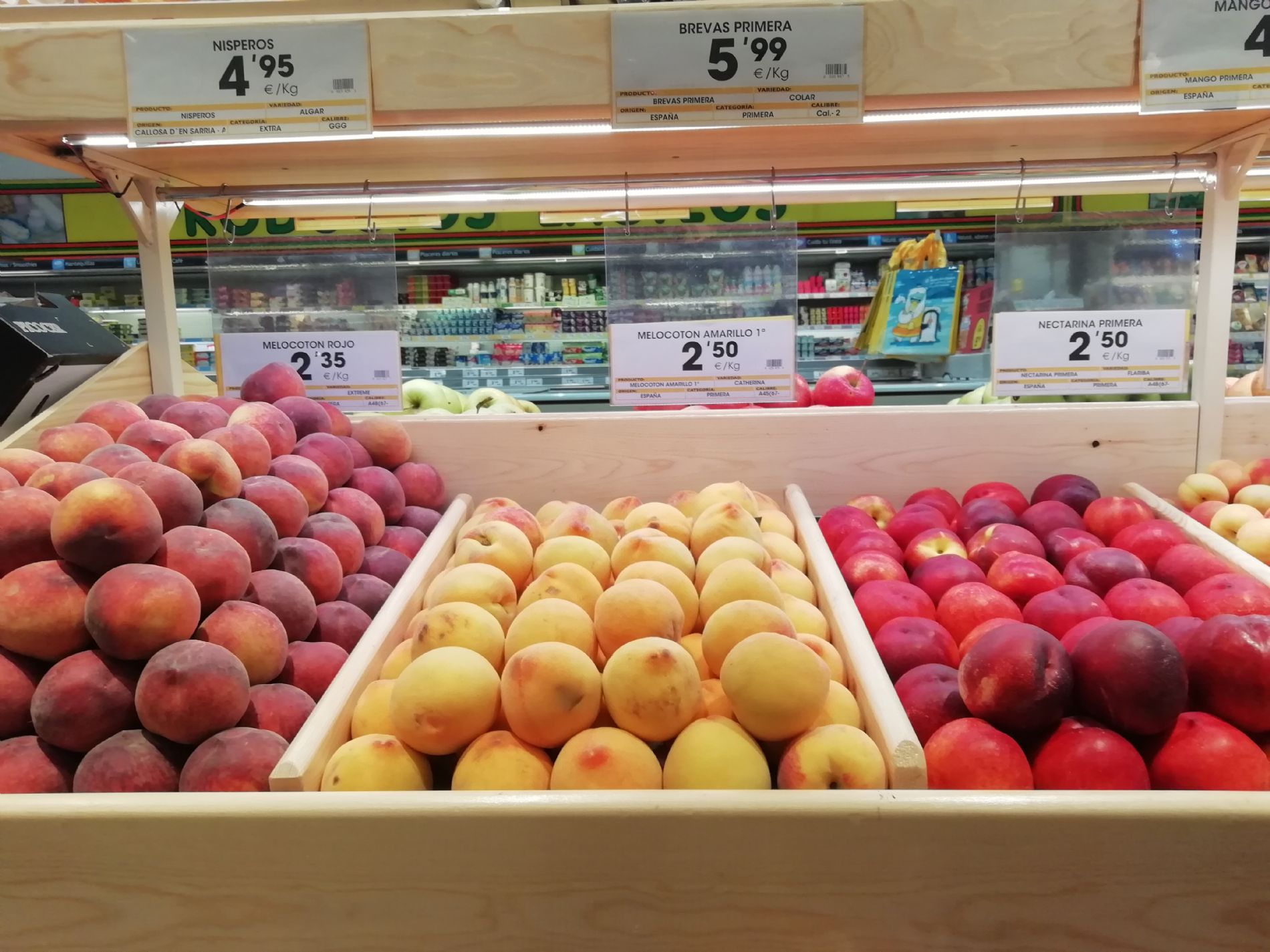 imagen principal noticia