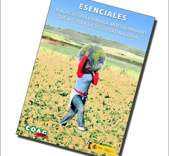 imagen principal noticia