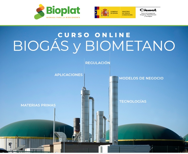 imagen principal noticia