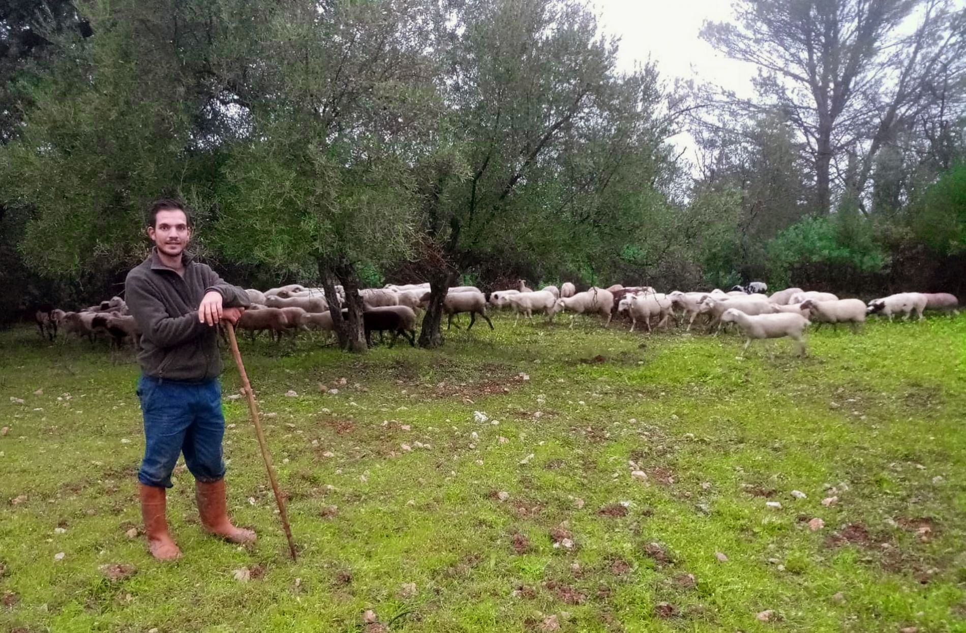 imagen principal noticia