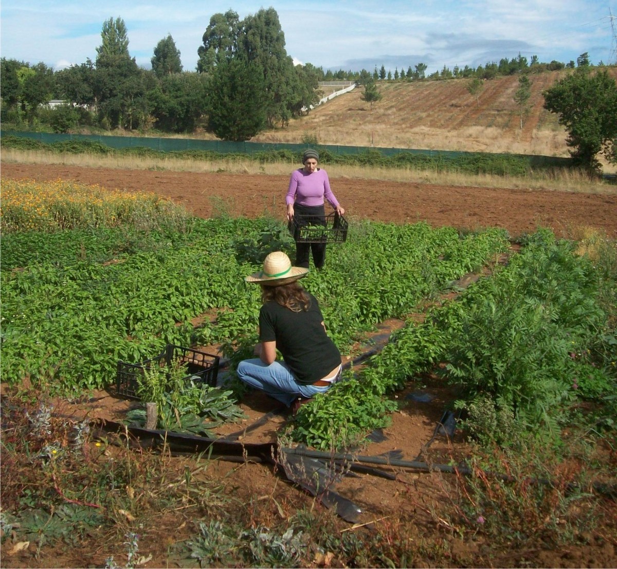 imagen principal noticia