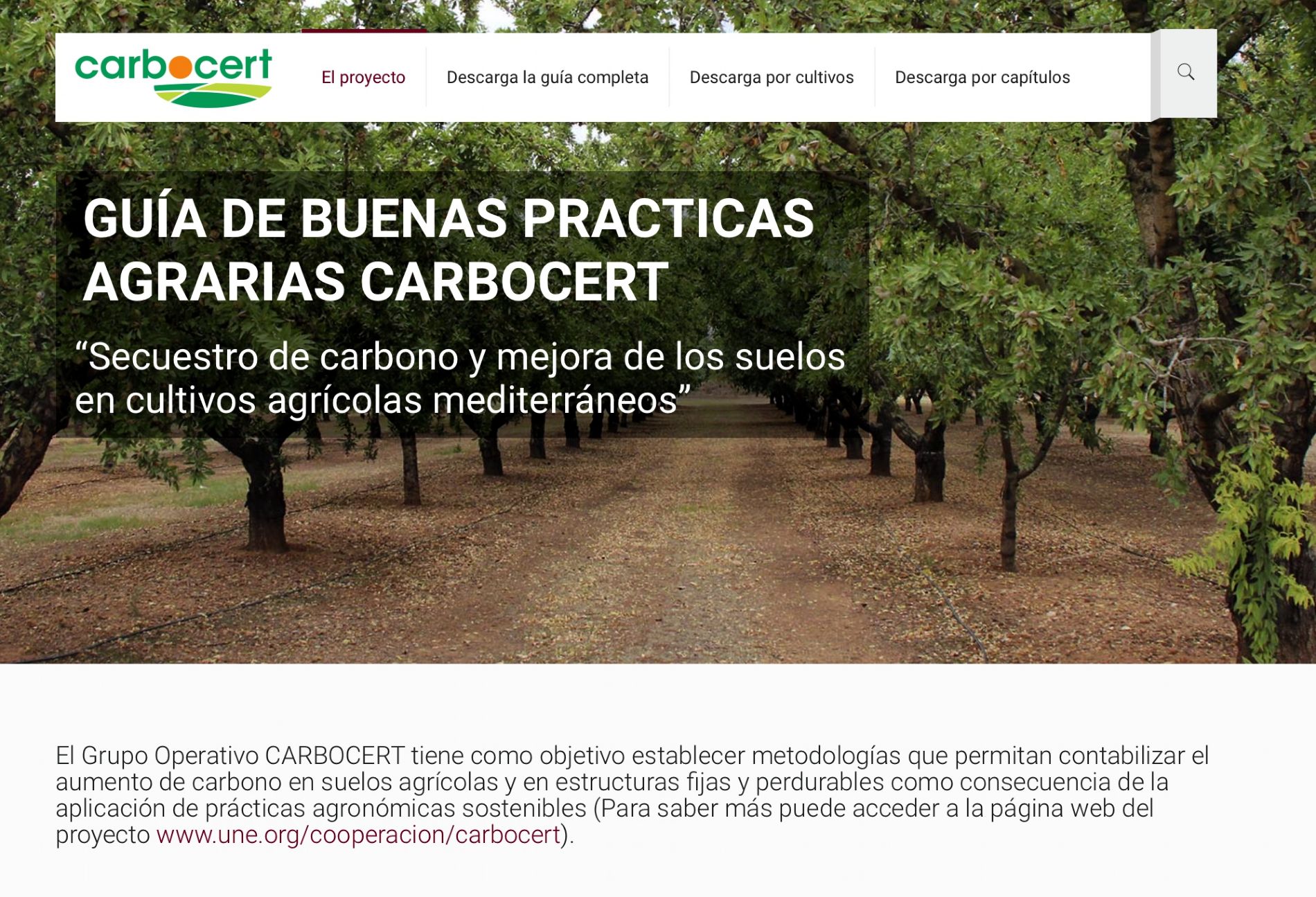 imagen principal noticia