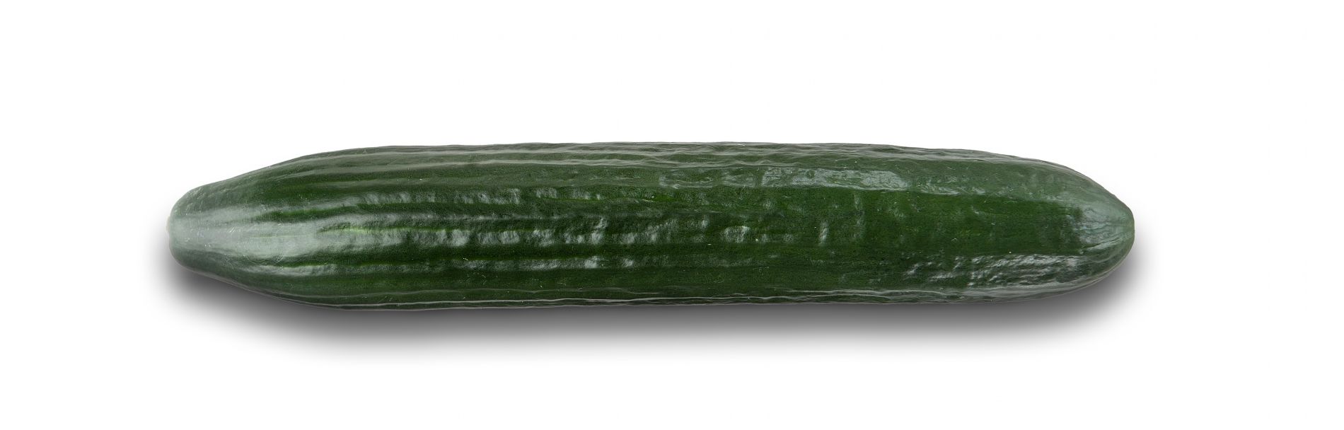 imagen principal noticia