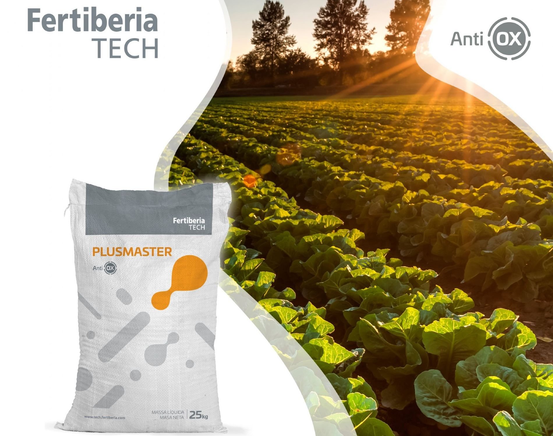 imagen principal noticia