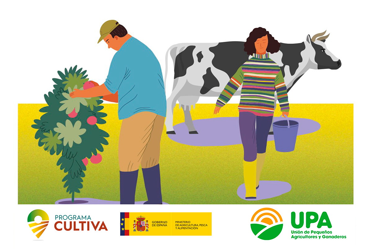 imagen principal noticia