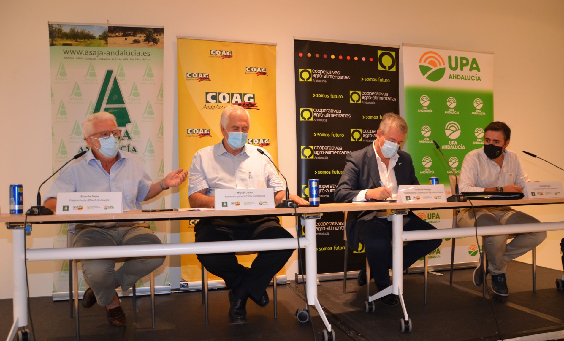 imagen principal noticia