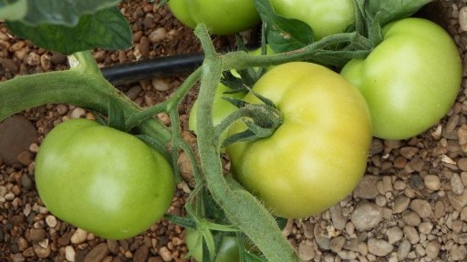 imagen principal noticia