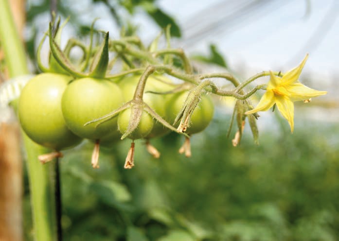 imagen principal noticia