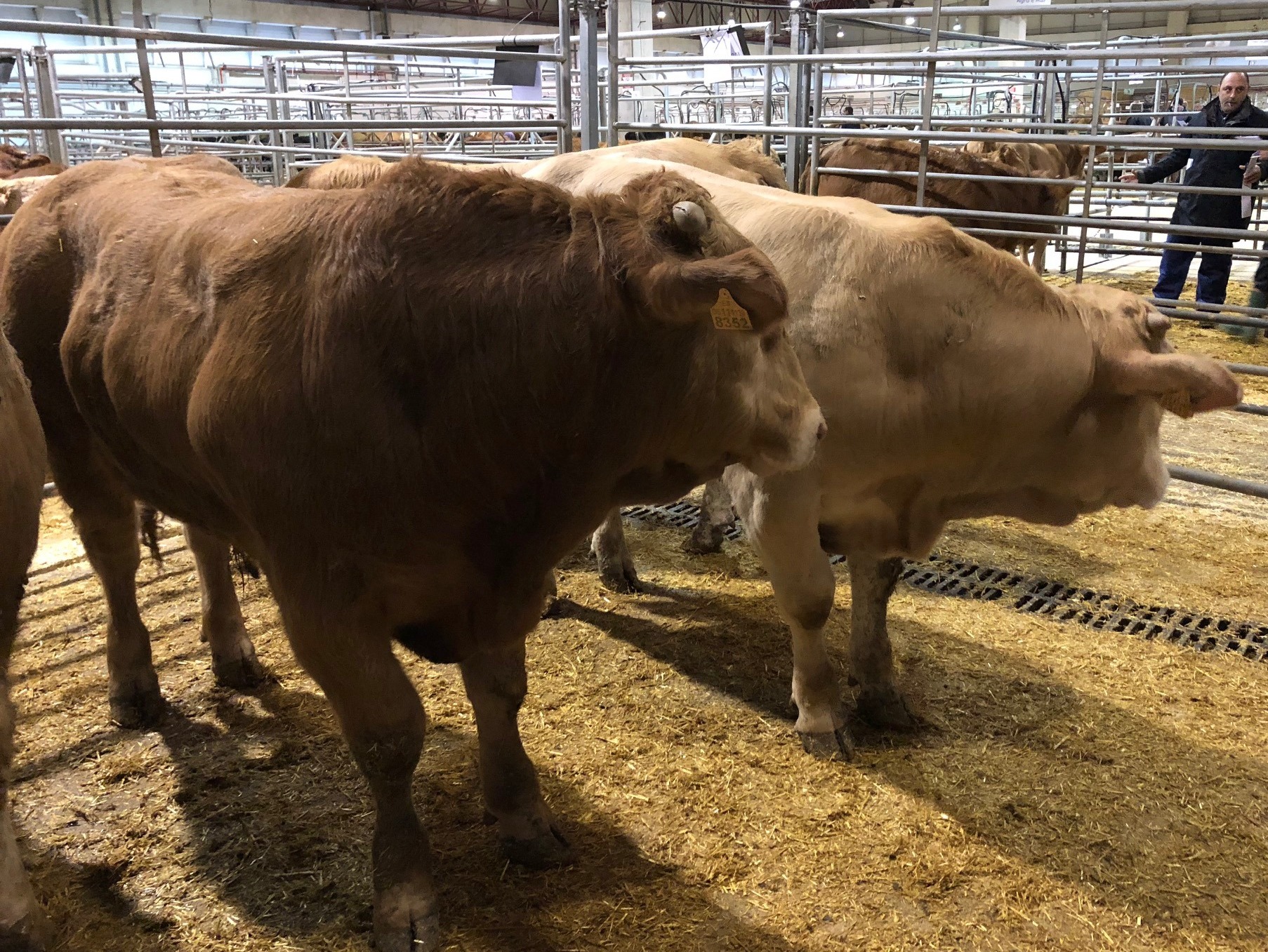 imagen principal noticia