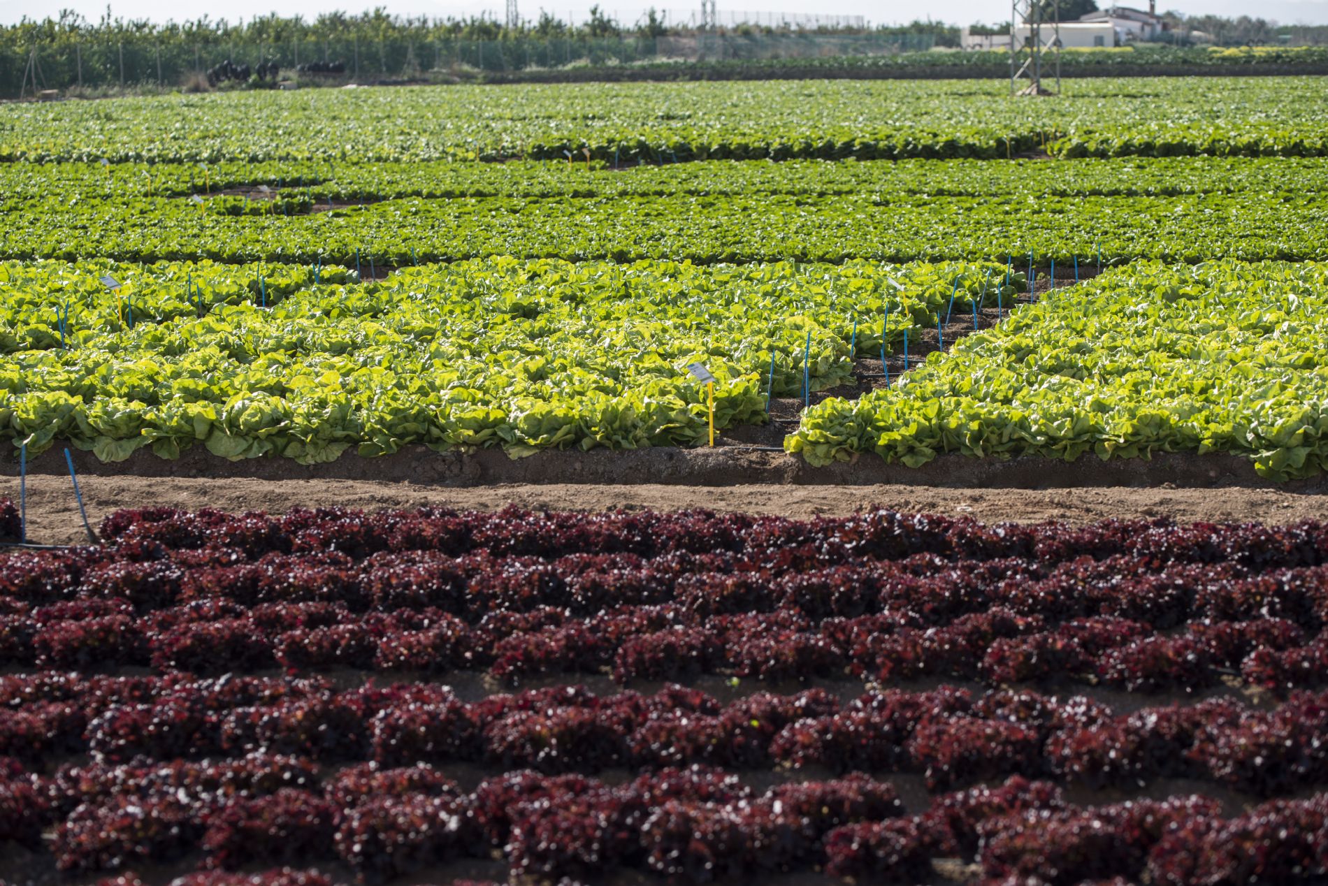 imagen principal noticia