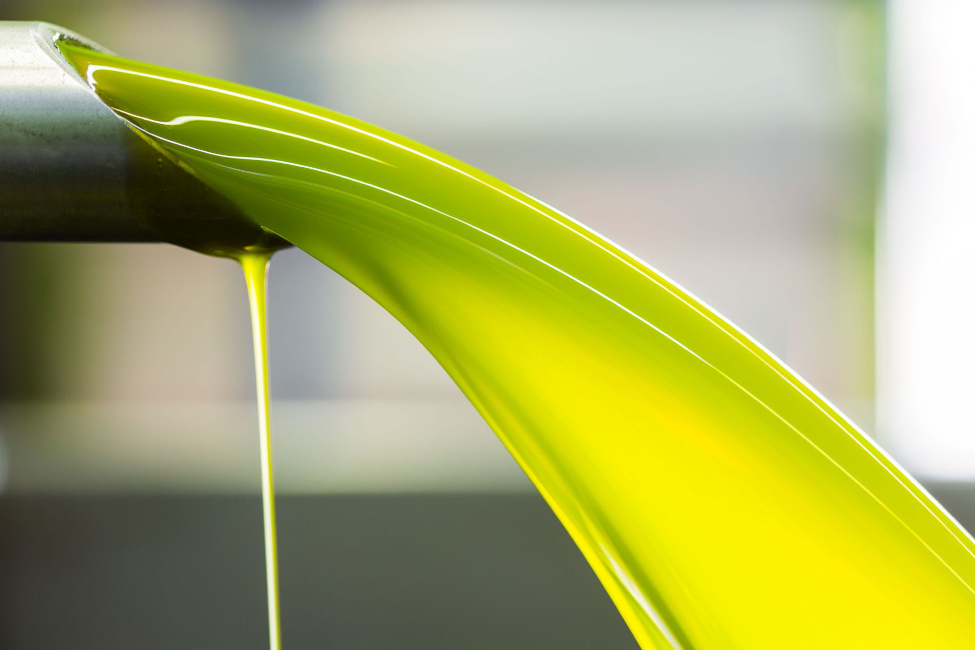 imagen principal noticia