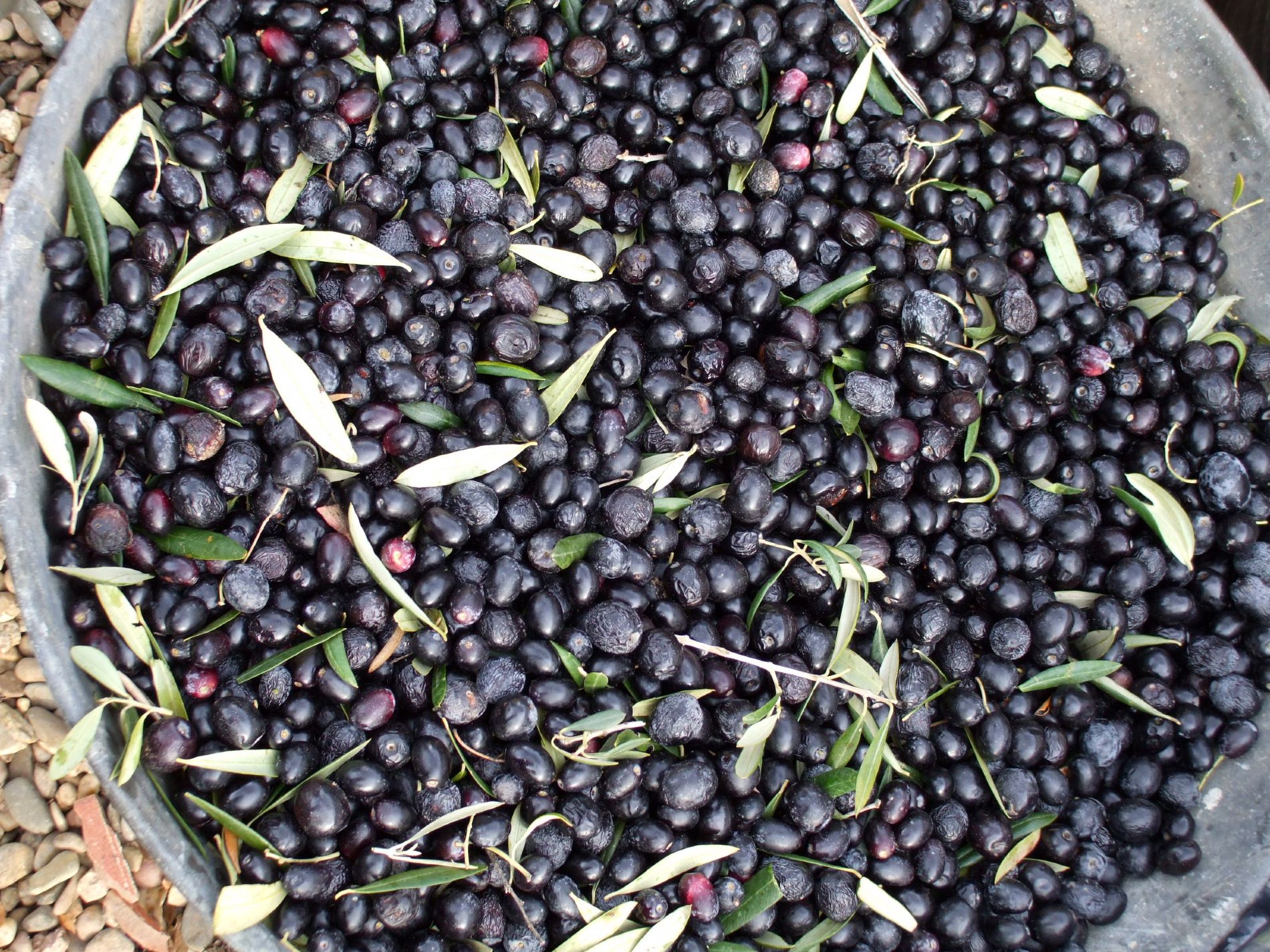 imagen principal noticia