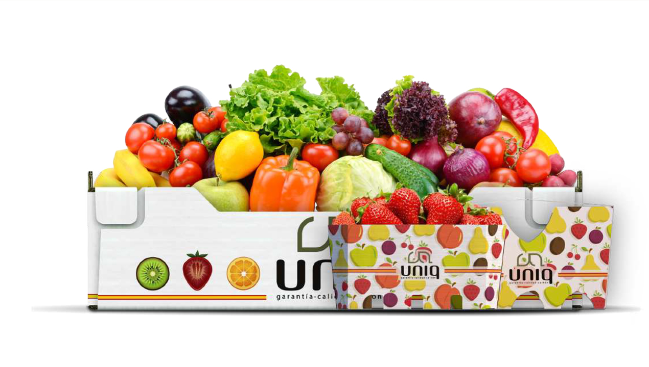 imagen principal noticia