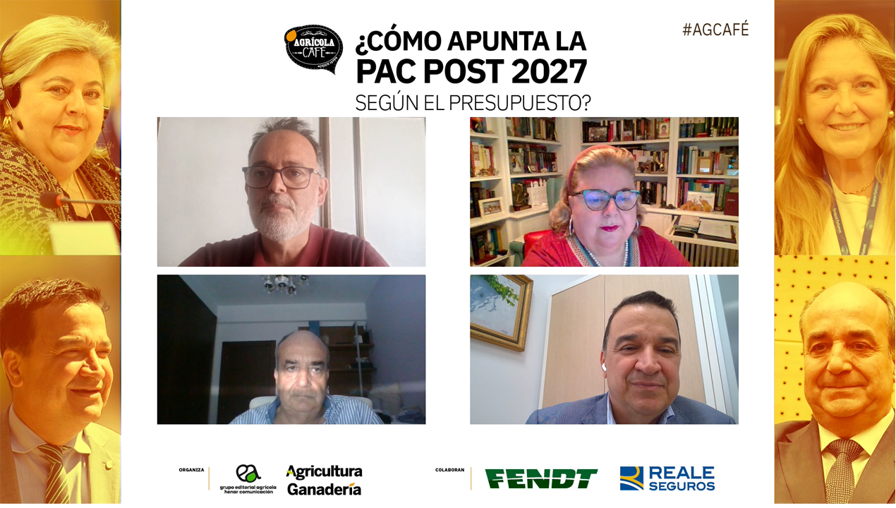imagen principal noticia