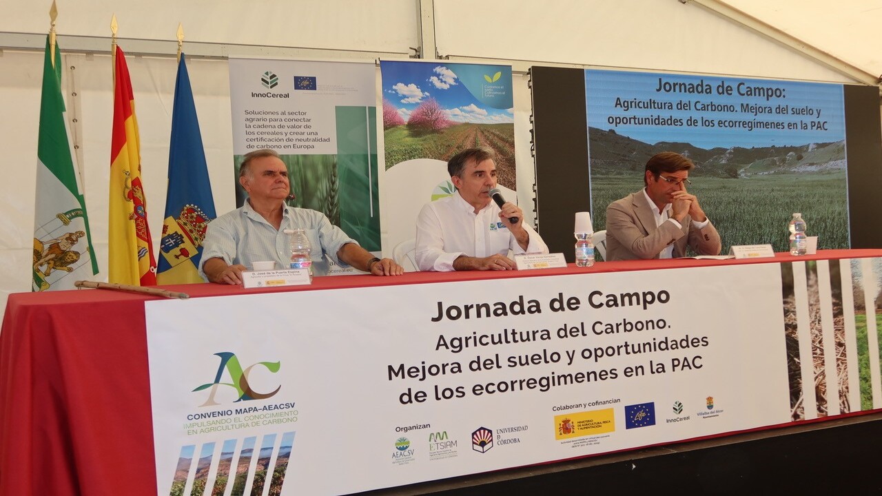 imagen principal noticia