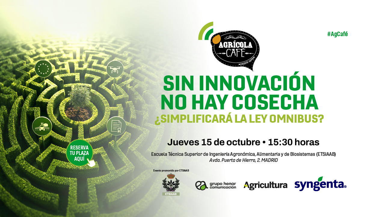 imagen principal noticia