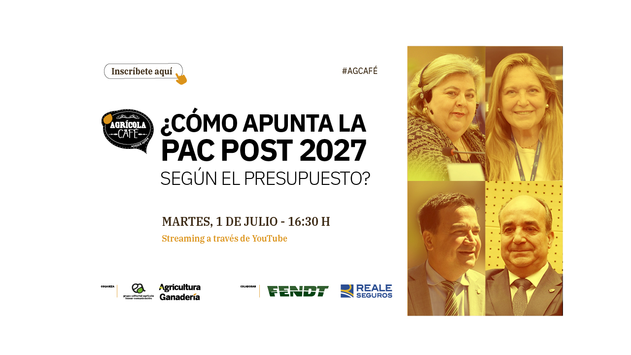 imagen principal noticia