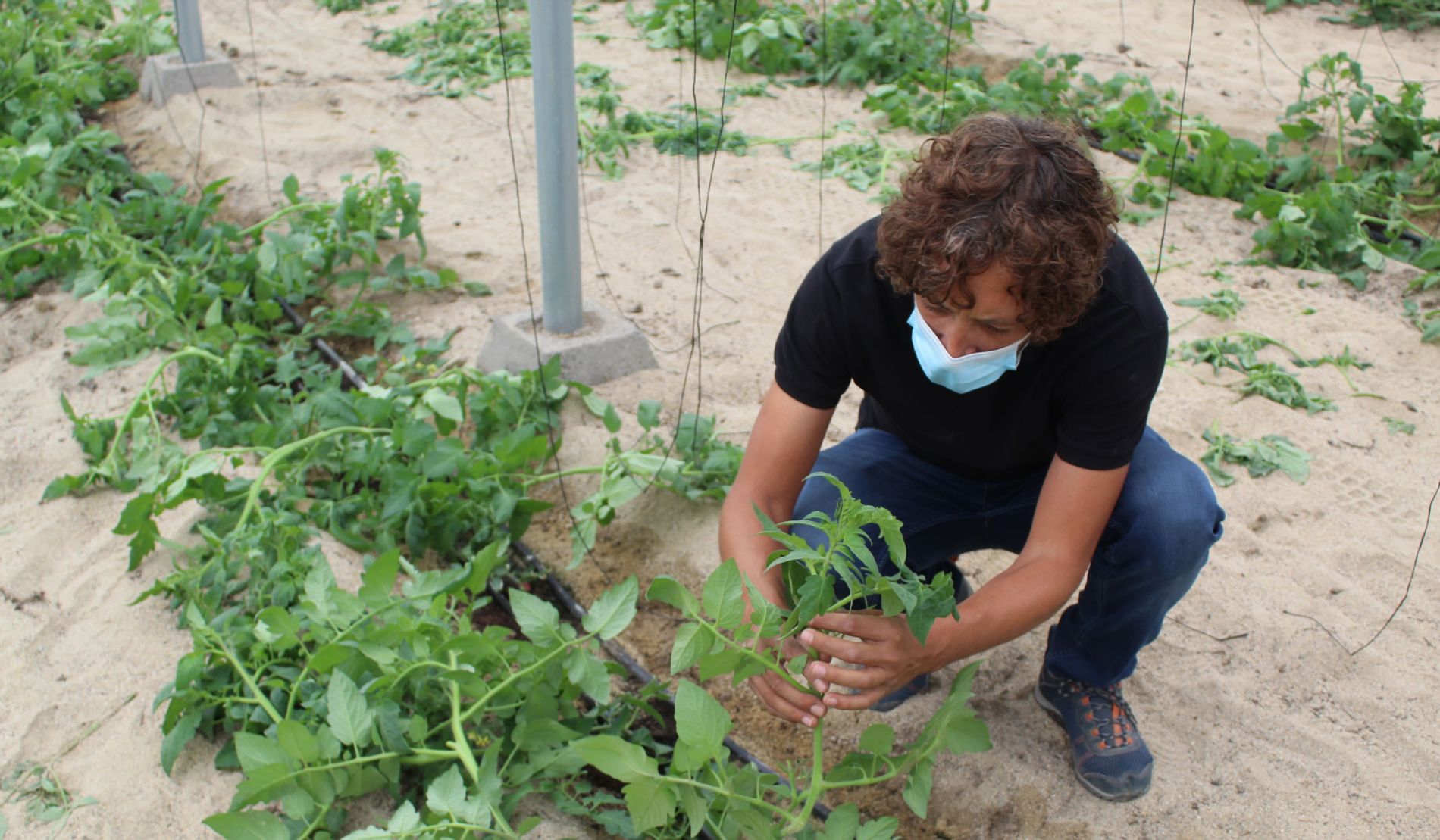 imagen principal noticia