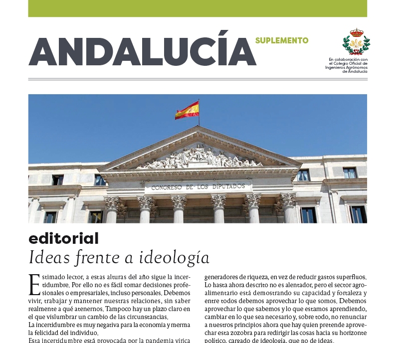 imagen principal noticia