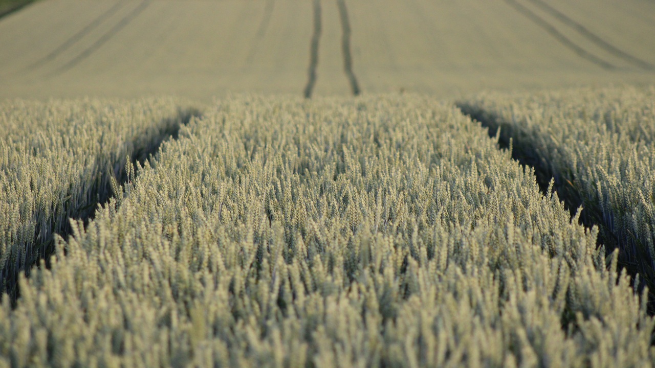 anffe-pone-en-duda-la-idoneidad-del-plan-de-accion-de-fertilizantes-de-la-ce
