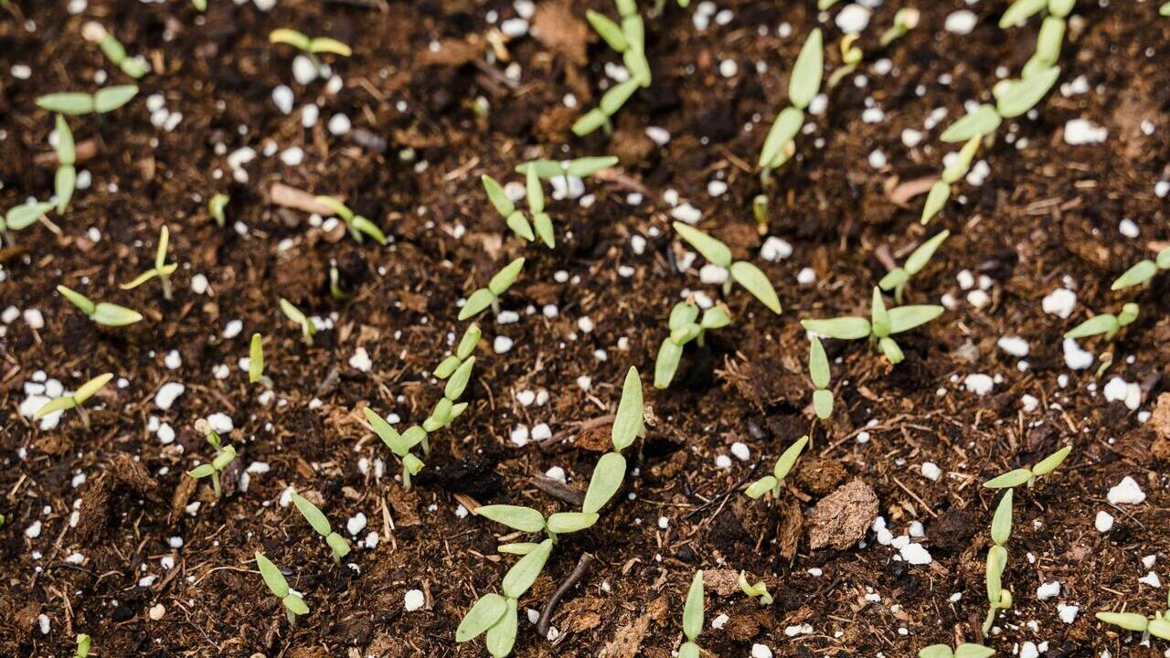 imagen principal noticia