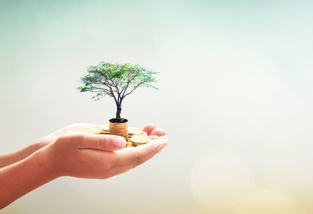 imagen principal noticia