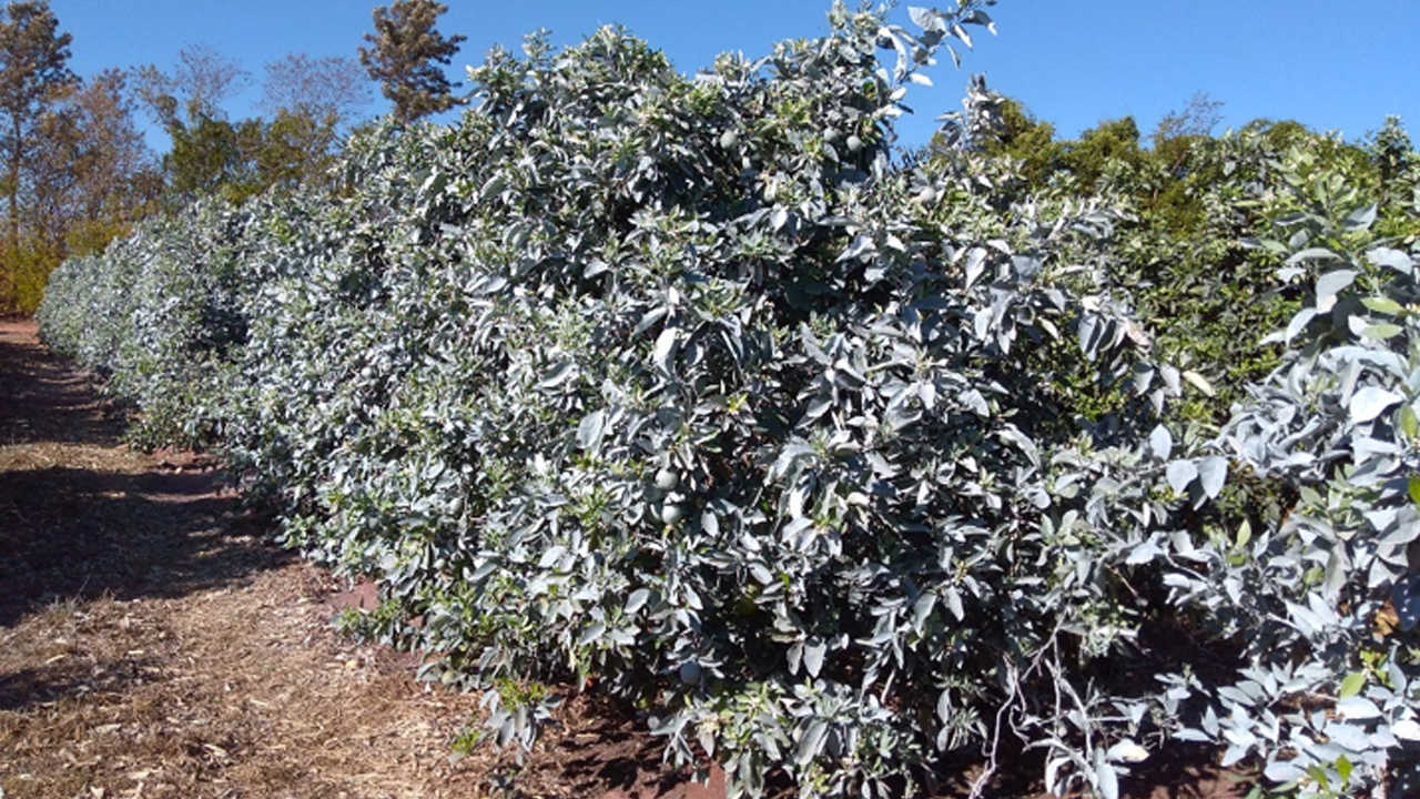 imagen principal noticia