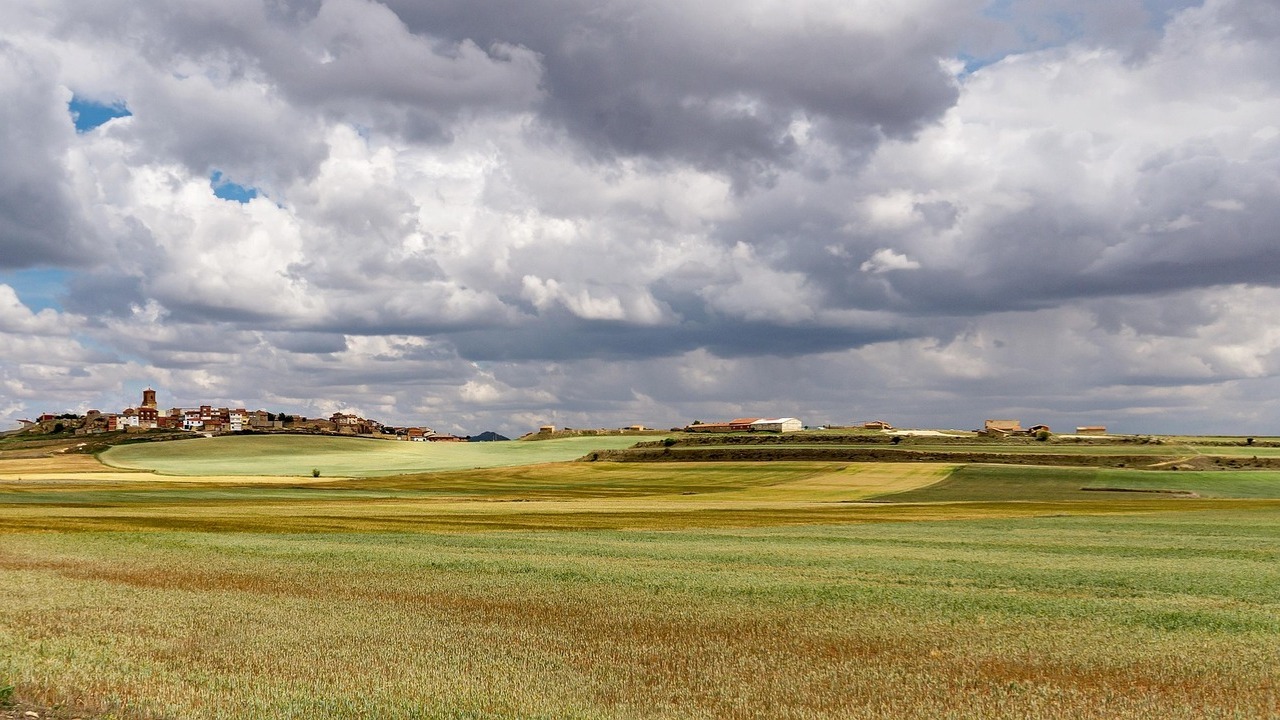 comienza-plazo-solicitar-ayudas-pac