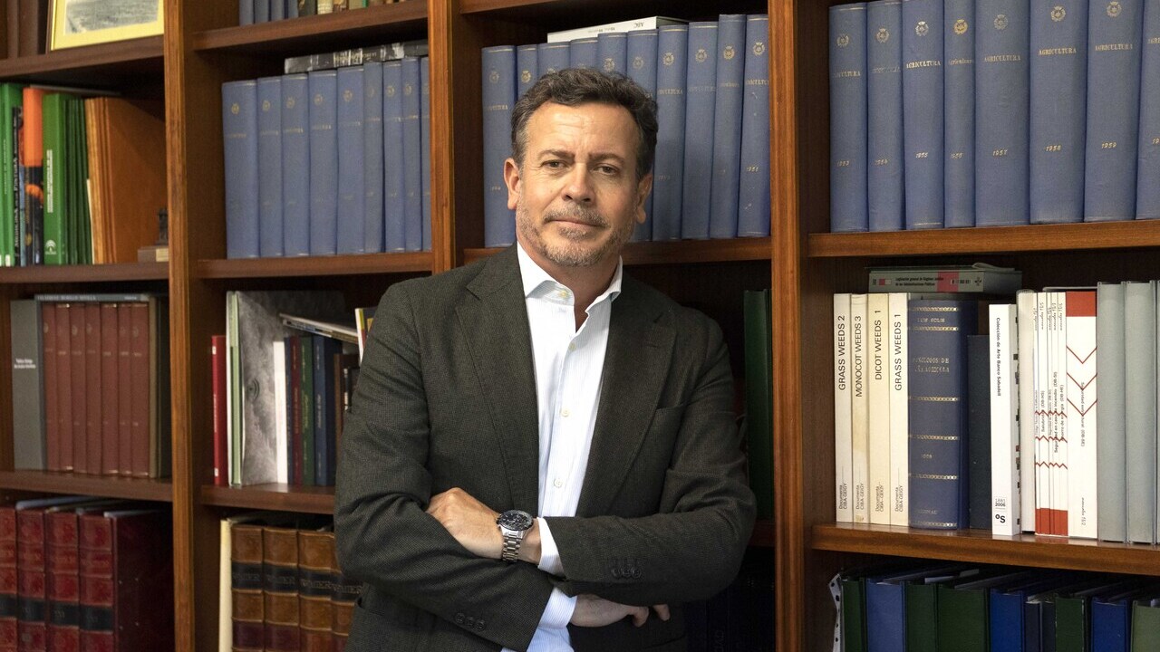 imagen principal noticia