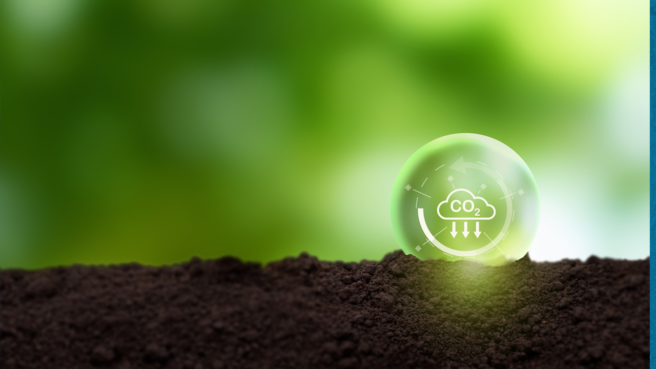 cbam-fertilizantes-amoniaco-renovable-pieza-clave-transicion-exige-equilibrio