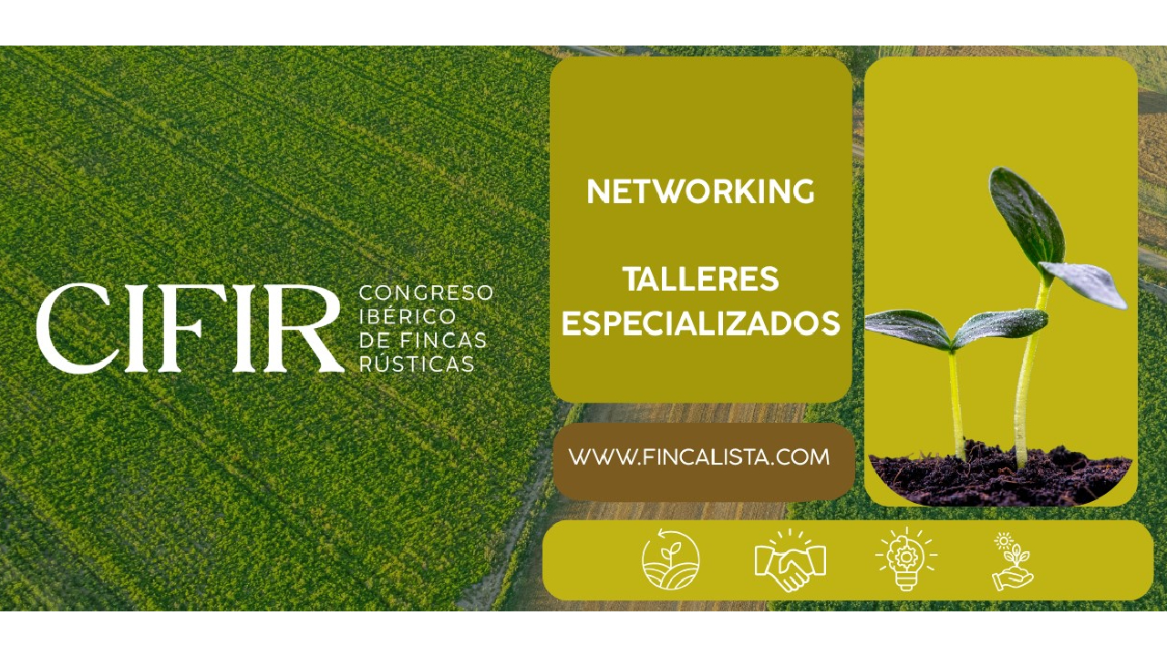 imagen principal noticia