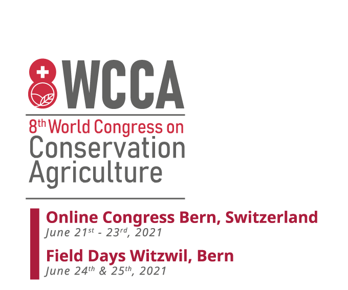 imagen principal noticia