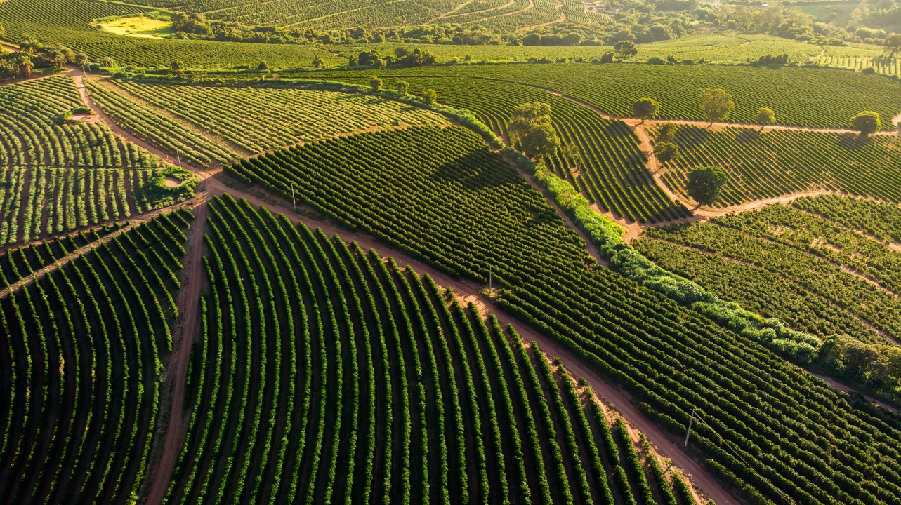 del-dato-a-la-venta:-palancas-para-impulsar-la-competitividad-agroalimentaria