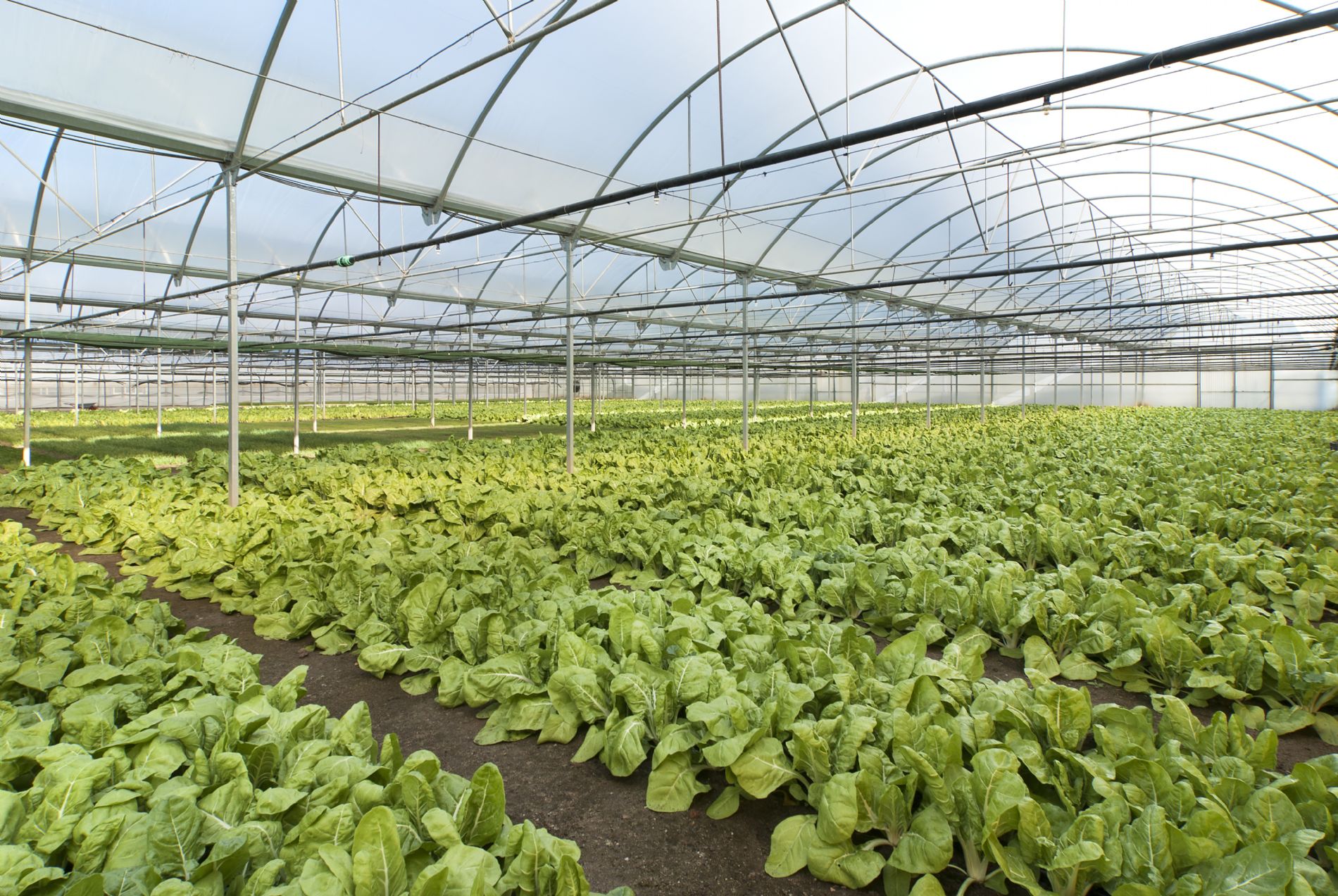 imagen principal noticia