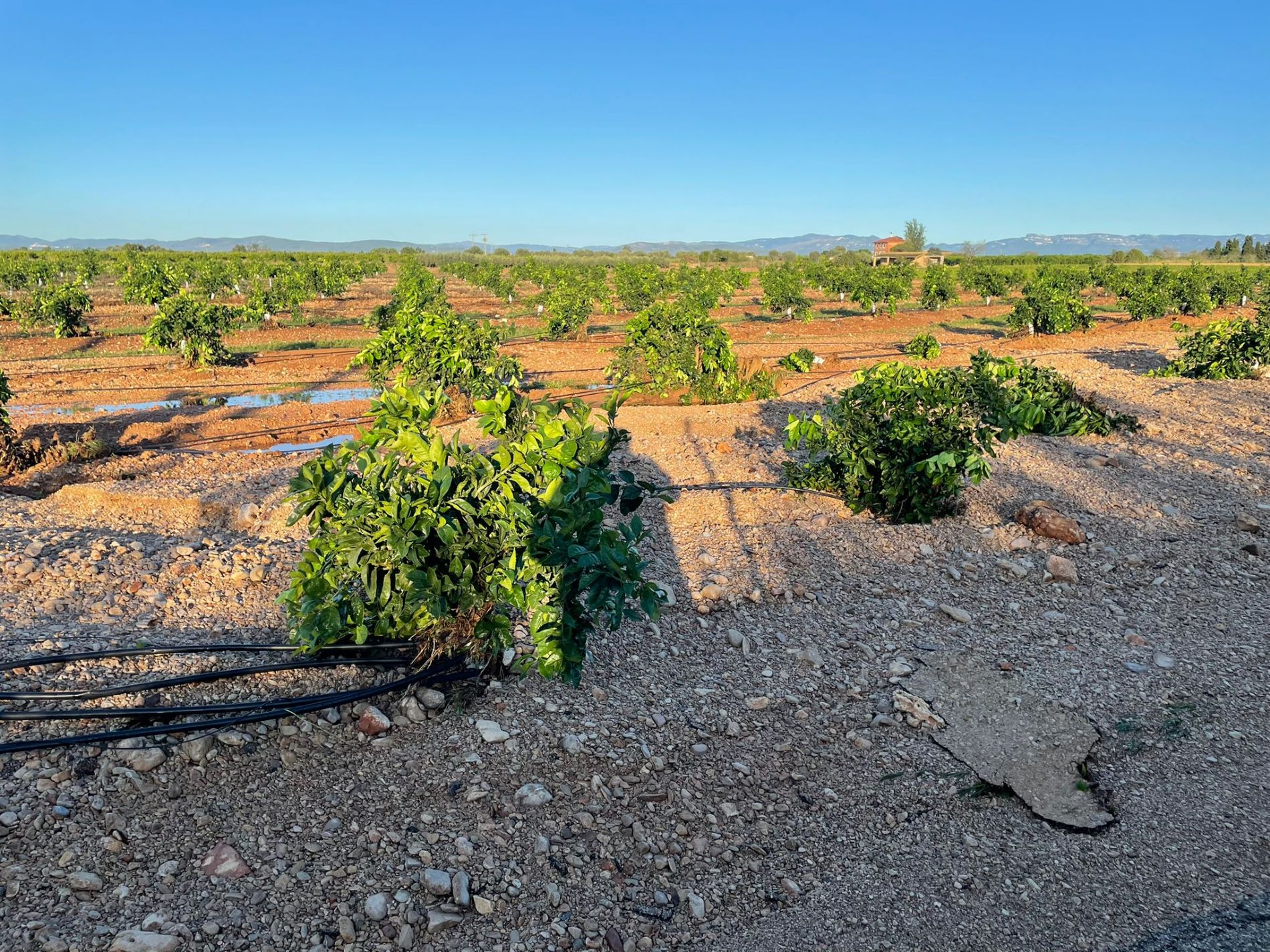 imagen principal noticia