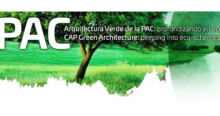 imagen principal noticia