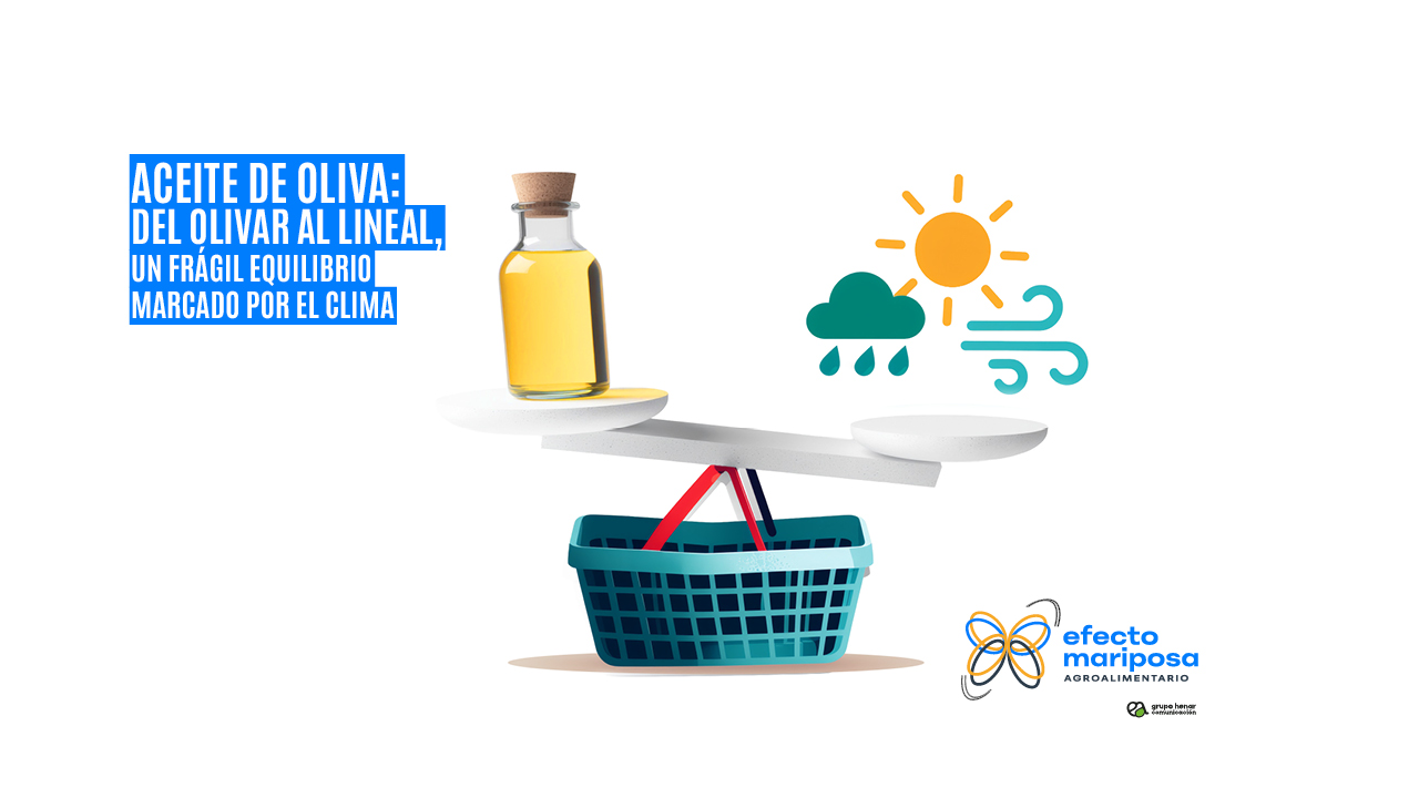 aceite-de-oliva-un-fragil-equilibrio-marcado-por-el-clima