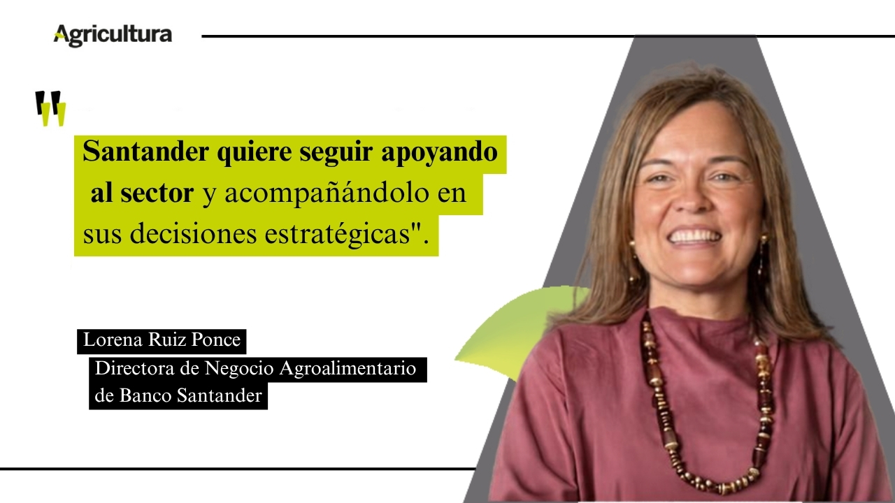 imagen principal noticia